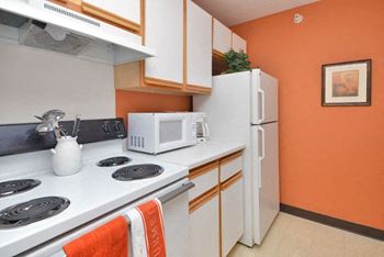 Efficient appliances in kitchen